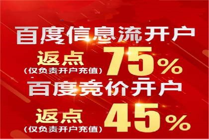 百度竞价SEM策略解析：某品牌广告成功的关键因素